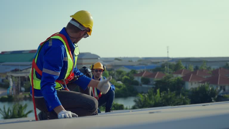 Best Slate Roofing  in Warren, IL